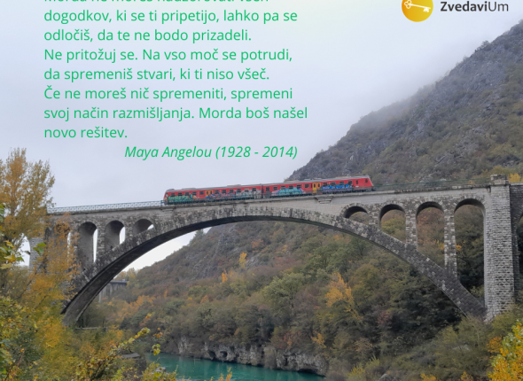 ZV_Maria Angelou