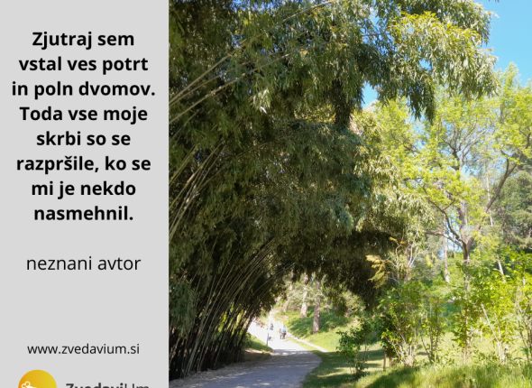 1.11._zjutraj